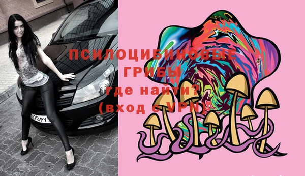сатива Куйбышев