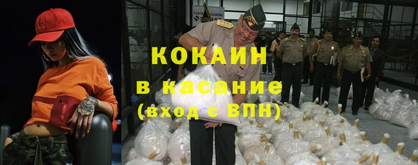 сатива Куйбышев
