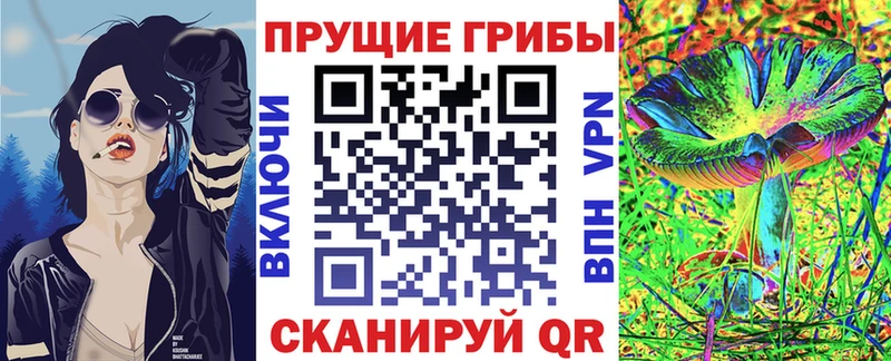 Псилоцибиновые грибы прущие грибы  блэк спрут ссылка  Партизанск 