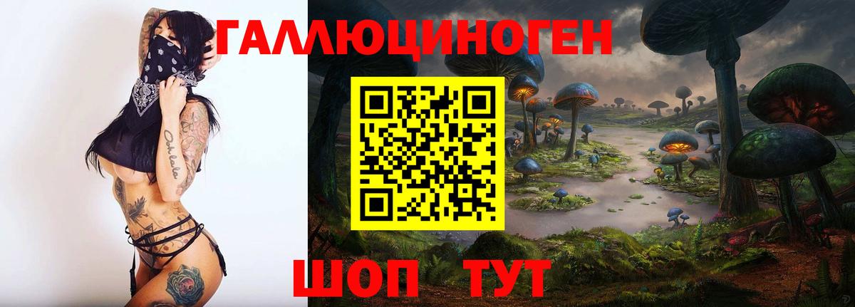 Псилоцибиновые грибы мицелий Партизанск
